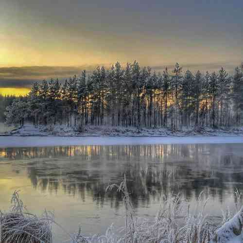  قورتت میدم درست عین قرصام دست و بسته پل صراط شاخه نبات